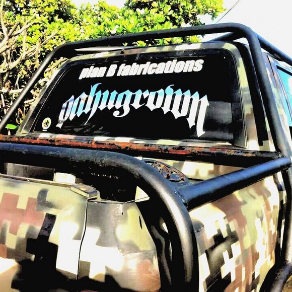 Meet your Posher, Karina - Picture 1 of 1